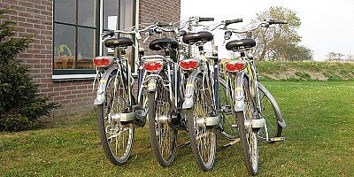 Texel, Ameland of Terschelling? Zo kies je het ideale Waddenvakantiehuis met kinderen