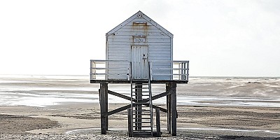 Tips om je hond mee te nemen naar Vlieland