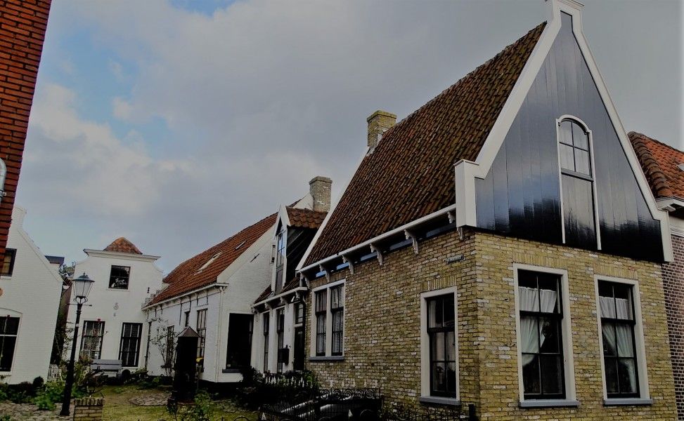 Guest house 010102 - Bungalow Texel - 419