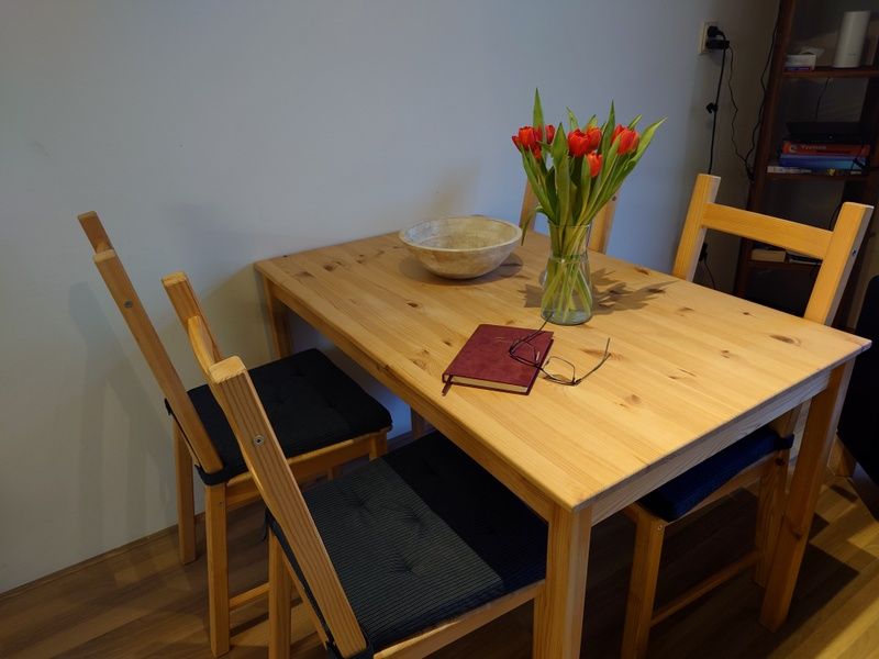 Guest house 010108 - Holiday property Texel - Kikkerpoel