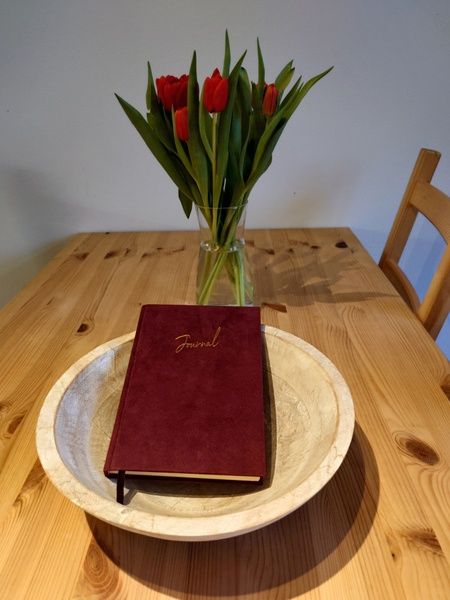 Guest house 010108 - Holiday property Texel - Kikkerpoel