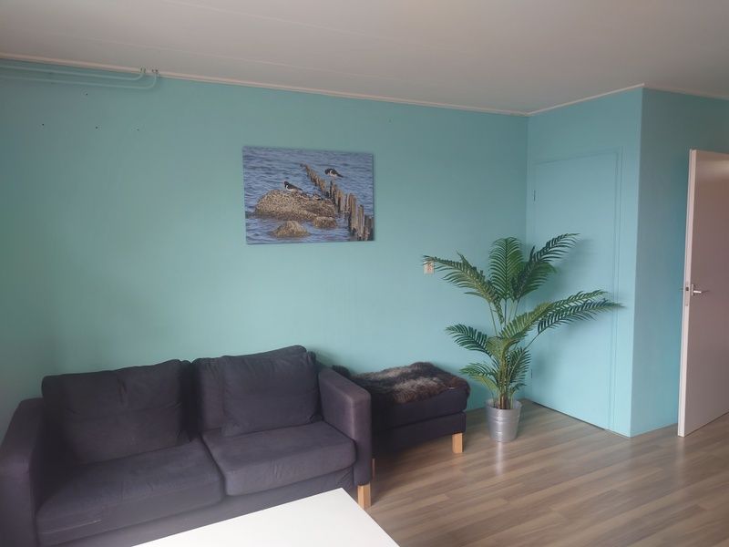 Guest house 010108 - Holiday property Texel - Kikkerpoel