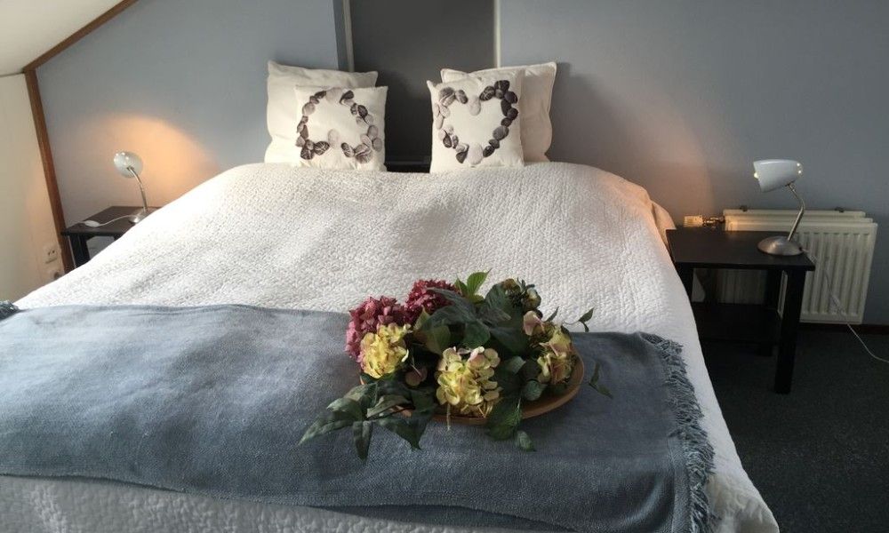 Unterkunft 01011058 - Ferienhaus Texel - de Marije