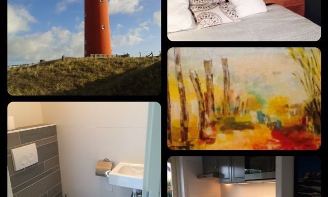 Unterkunft 01011058 - Ferienhaus Texel - de Marije