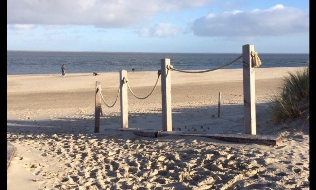 Unterkunft 01011058 - Ferienhaus Texel - de Marije