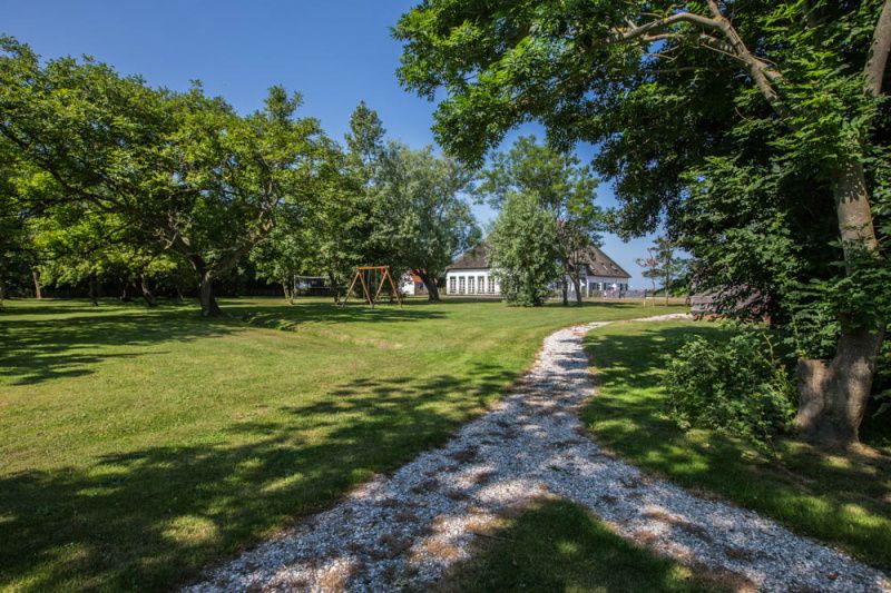 Gruene Umgebung des Ferienhauses Typ X-7 De Cocksdorp Texel mit Fussweg und Baeumen