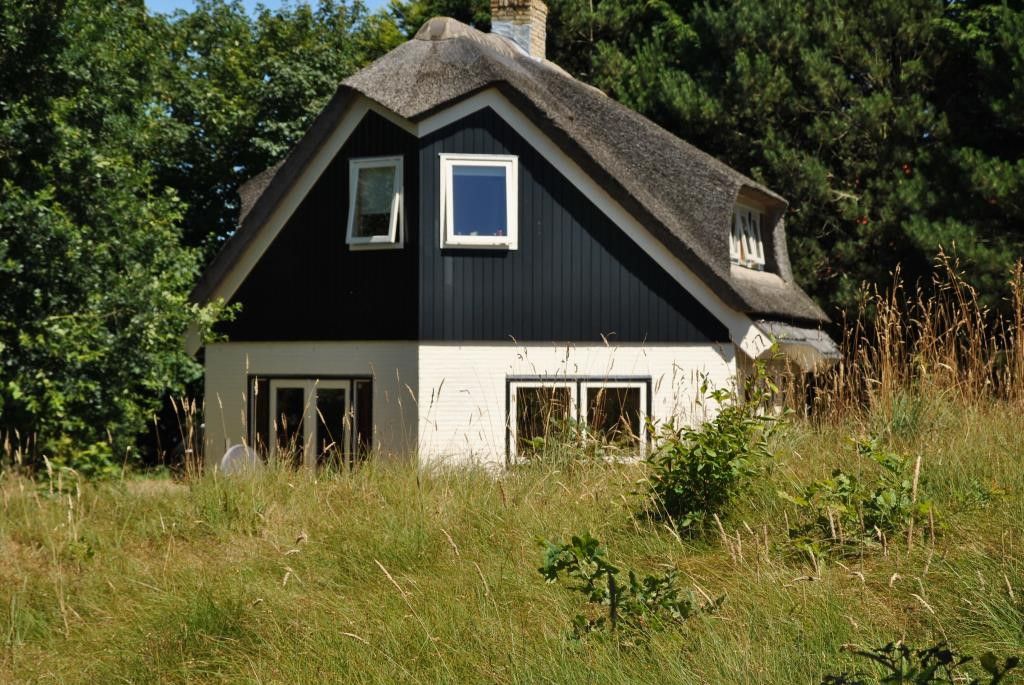 Velduil vakantiehuis in De Cocksdorp, Texel met rieten dak en groene omgeving.