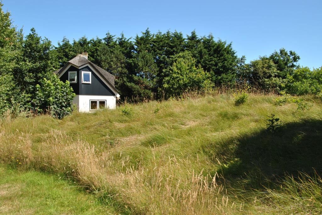 Velduil huisje omringd door natuur in De Cocksdorp, Texel, Waddeneilanden.