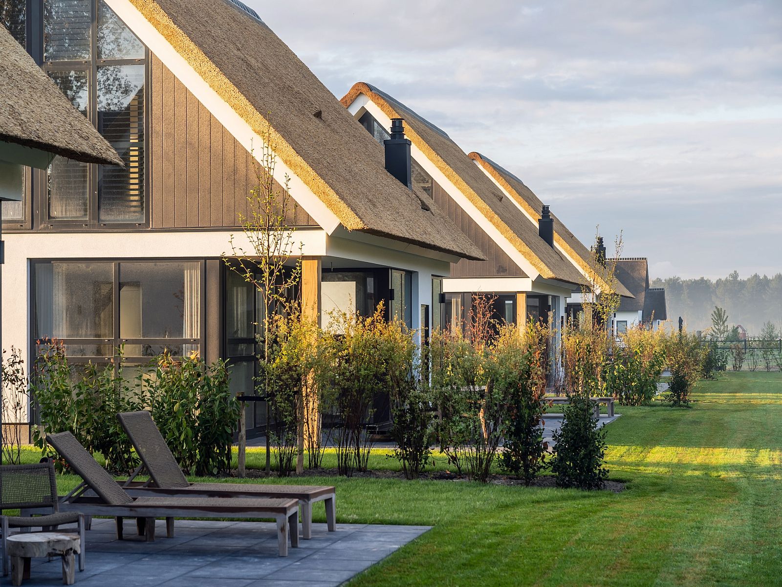 Unterkunft 0101163 - Ferienhaus Texel - Buytenveldt H1