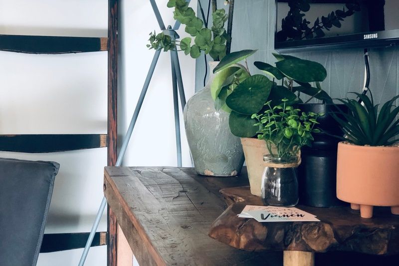 Foto 5