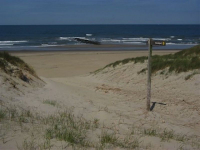 Schoener Strand bei Typ 7 - 2107 Ferienhaus De Cocksdorp Texel mit Duenen und Meerblick.