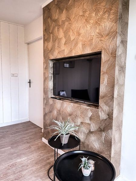 Guest house 0101178 - Holiday property Texel - Vakantiehuis De Roggesloot