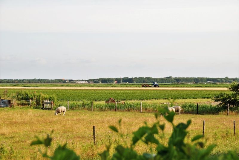 View of Texel fields from The Wulpenlied vacation home in De Cocksdorp.