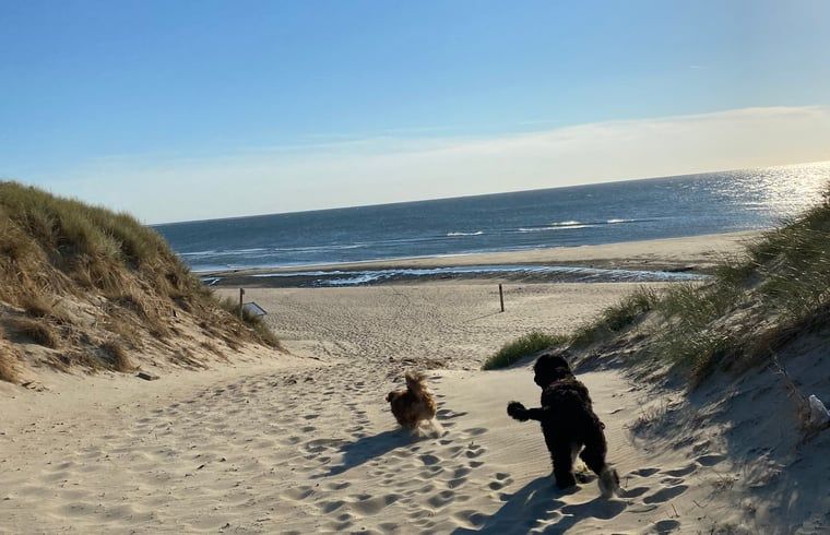 Beach walk at sunset near Holiday home in De Cocksdorp, Texel, Wadden Islands.