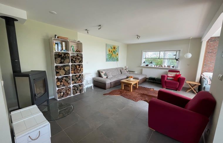 Cozy sitting area with fireplace in Holiday home in De Cocksdorp, Texel, Wadden Islands.