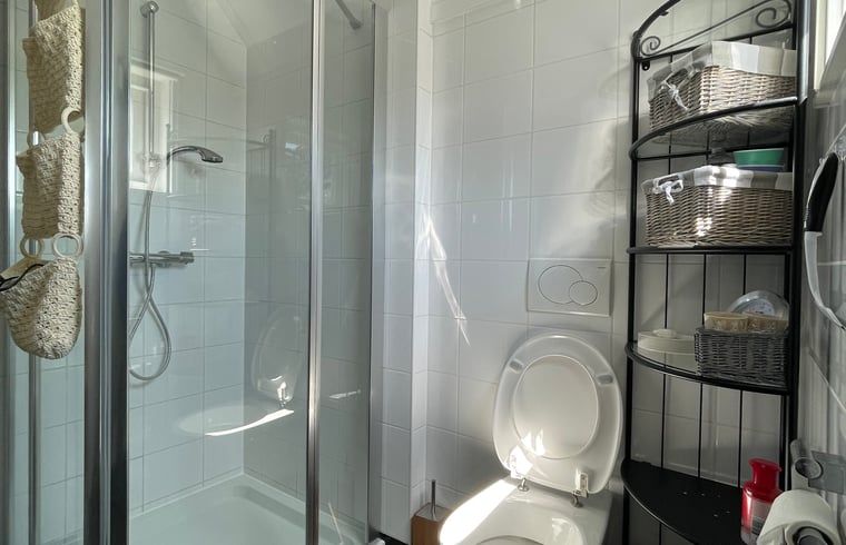 Modern bathroom with shower in Holiday home in De Cocksdorp, Texel, Wadden Islands.