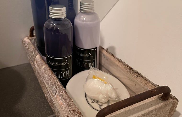 Care products in Holiday home in De Cocksdorp, Texel, Wadden Islands for extra comfort.