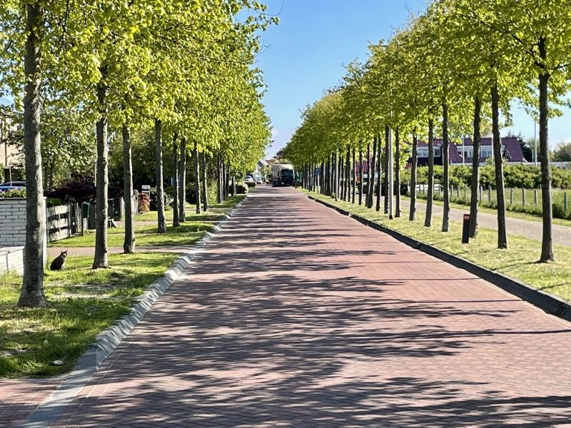 Lommerrijke laan nabij Vakantiehuis 34A in De Cocksdorp Texel, ideaal voor wandelingen.