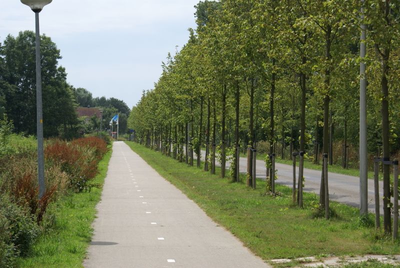 Bike path near Type B-10 Hodshonstraat vacation home, De Cocksdorp, Texel, discover the nature of the Wadden Islands.