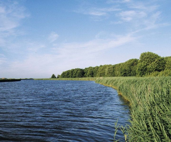 Beautiful water landscape around Type B-10 Hodshonstraat vacation home, De Cocksdorp, Texel, enjoy nature on the Wadden Islands.