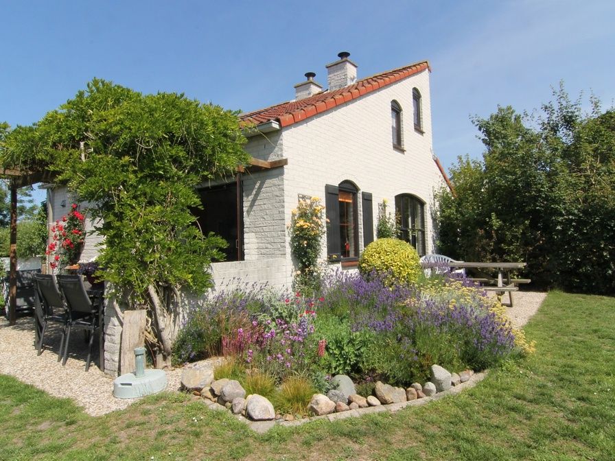 Guest house 0101416 - Holiday property Texel - Roggeslootweg 577