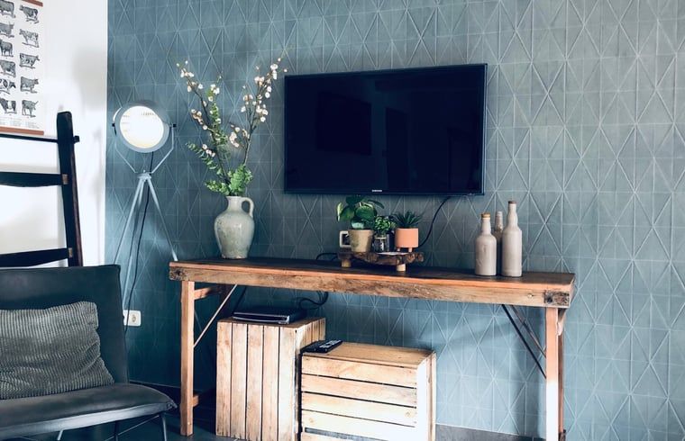 TV-Ecke im Ferienhaus in De Cocksdorp, Texel, mit moderner Einrichtung und Holzmoebeln.