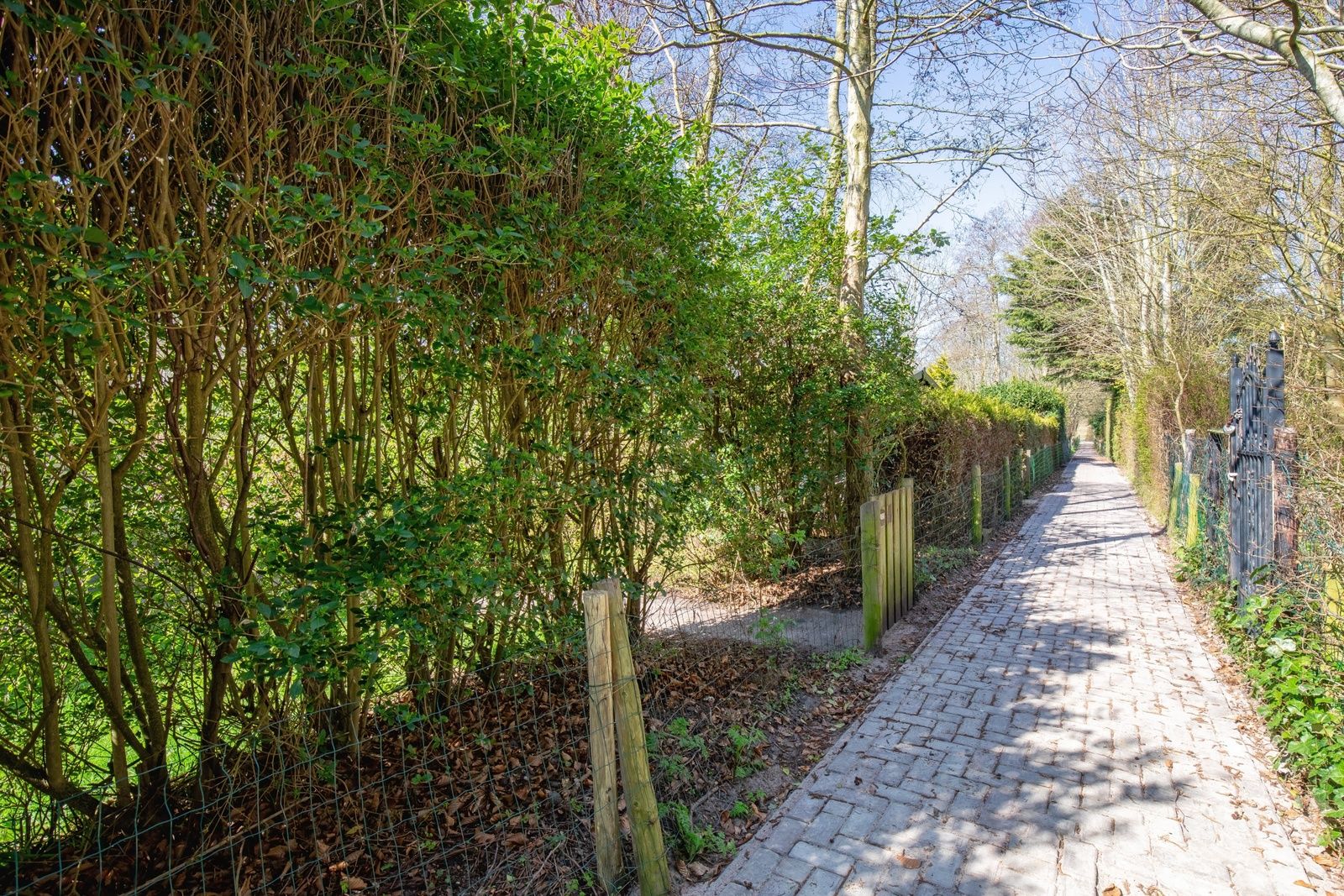 Schattiger Zugangsweg zum Bungalowpark Slufterduin - 't Oppertje, Ferienhaus in De Cocksdorp, Texel.