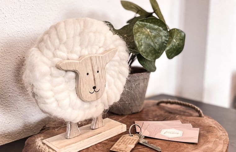 Dekorative Details im Ferienhaus in De Cocksdorp, Texel, mit niedlichen Accessoires und Gruenpflanzen auf den Watteninseln.