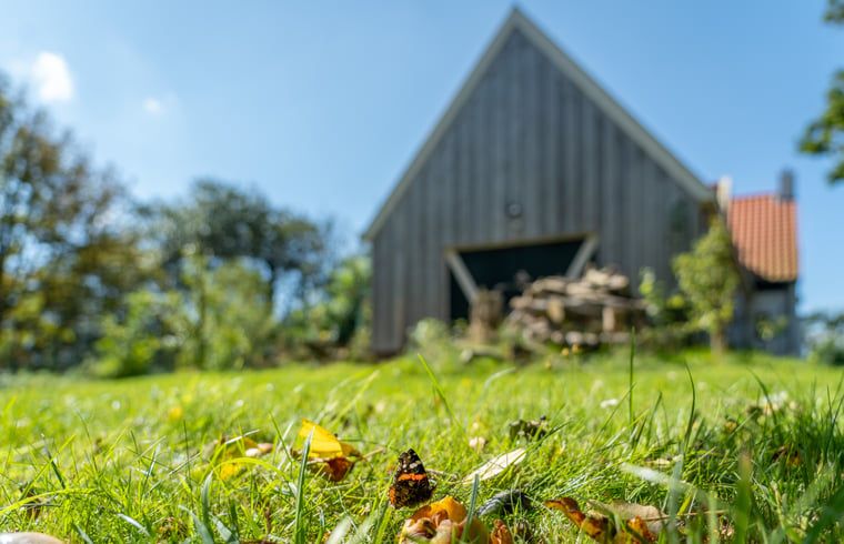 Der bluehende Baum im Garten des Ferienhauses in De Cocksdorp, Texel, bietet einen Hauch von natuerlicher Pracht.