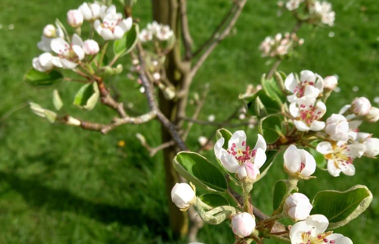 Holzdekoration in Herzform im Ferienhaus in De Cocksdorp, Texel, verleiht dem Interieur Charme.