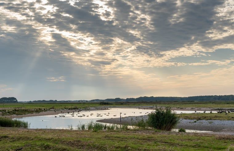 Ruhige Flusslandschaft in der Naehe des Ferienhauses in De Cocksdorp, Texel, bietet ruhige Aussichten.