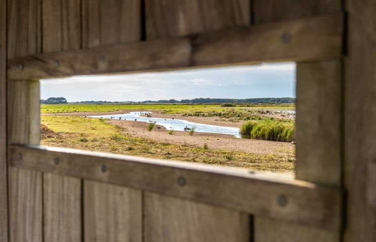 Das Ferienhaus in De Cocksdorp, Texel, liegt inmitten der Natur und der ueppigen Felder und bietet eine erholsame Umgebung.
