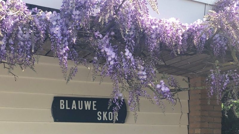 Verblijf 0101469 - Vakantiewoning Texel - Bungalow Slufterduin - De Blauwe Skor