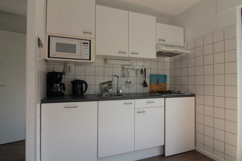 Guest house 0101517 - Holiday property Texel - Vakantiehuis D 437