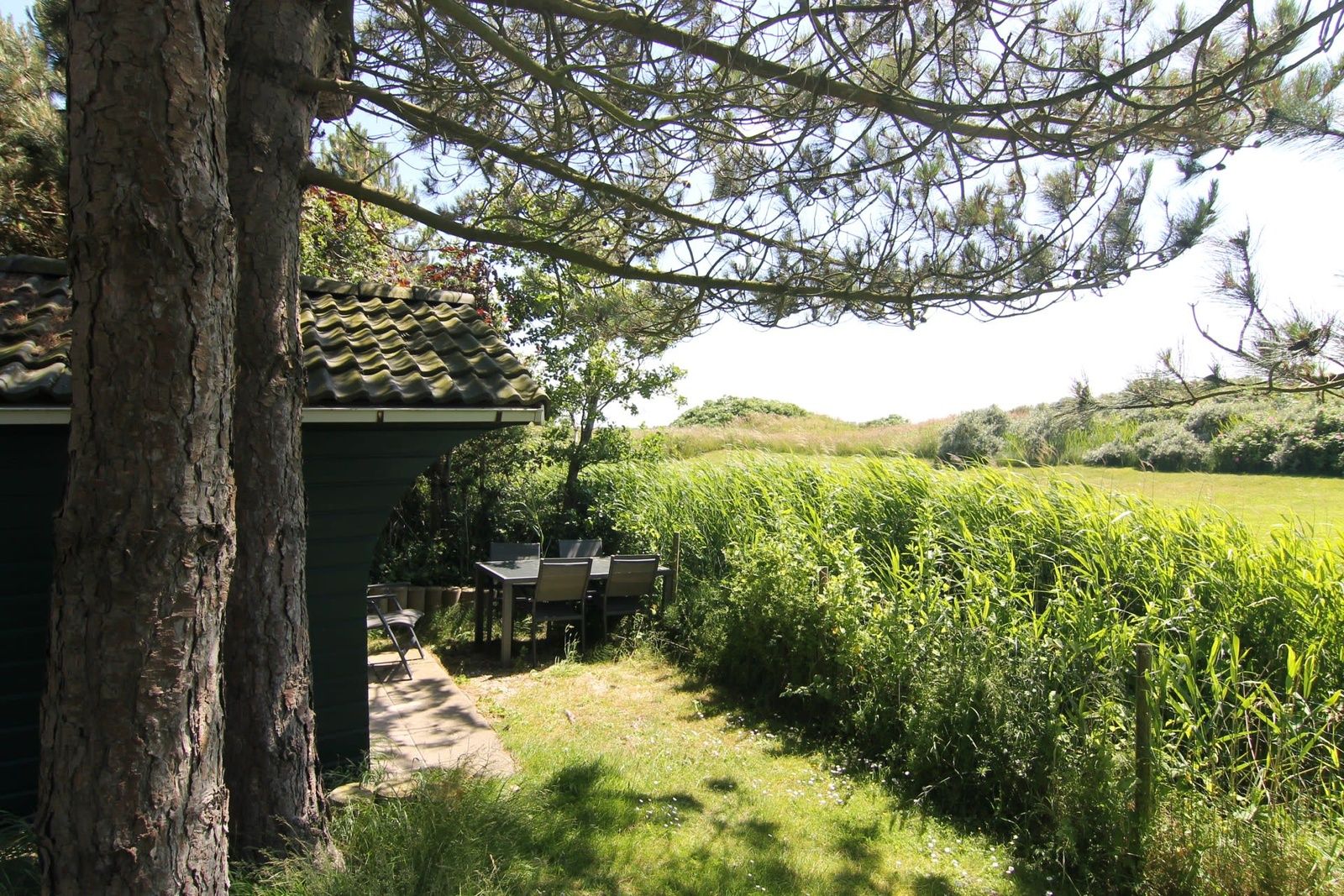 Unterkunft 0101675 - Ferienhaus Texel - Vakantiehuis LB 771