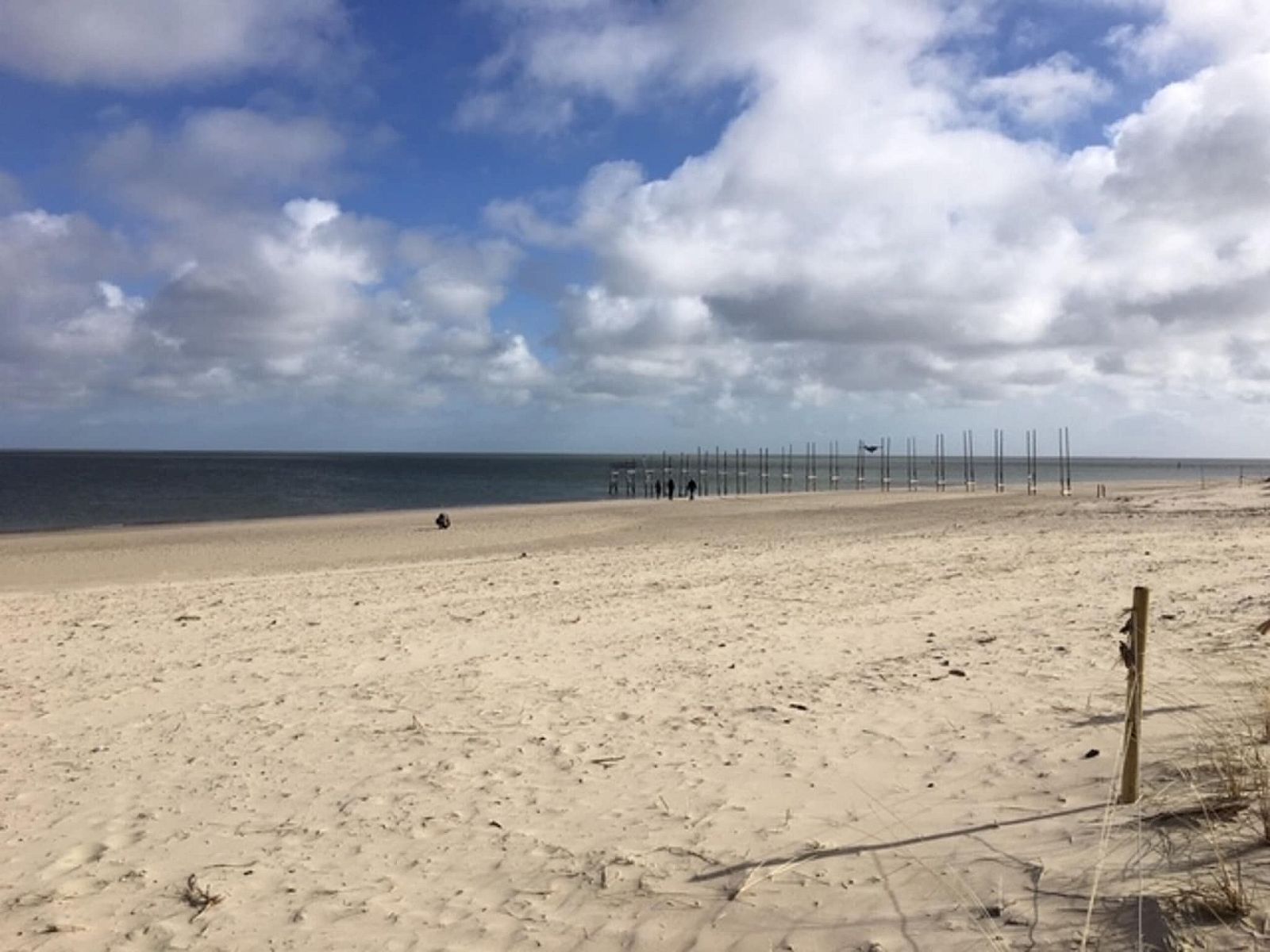 Guest house 0101750 - Apartment Texel - Stoeterij C65
