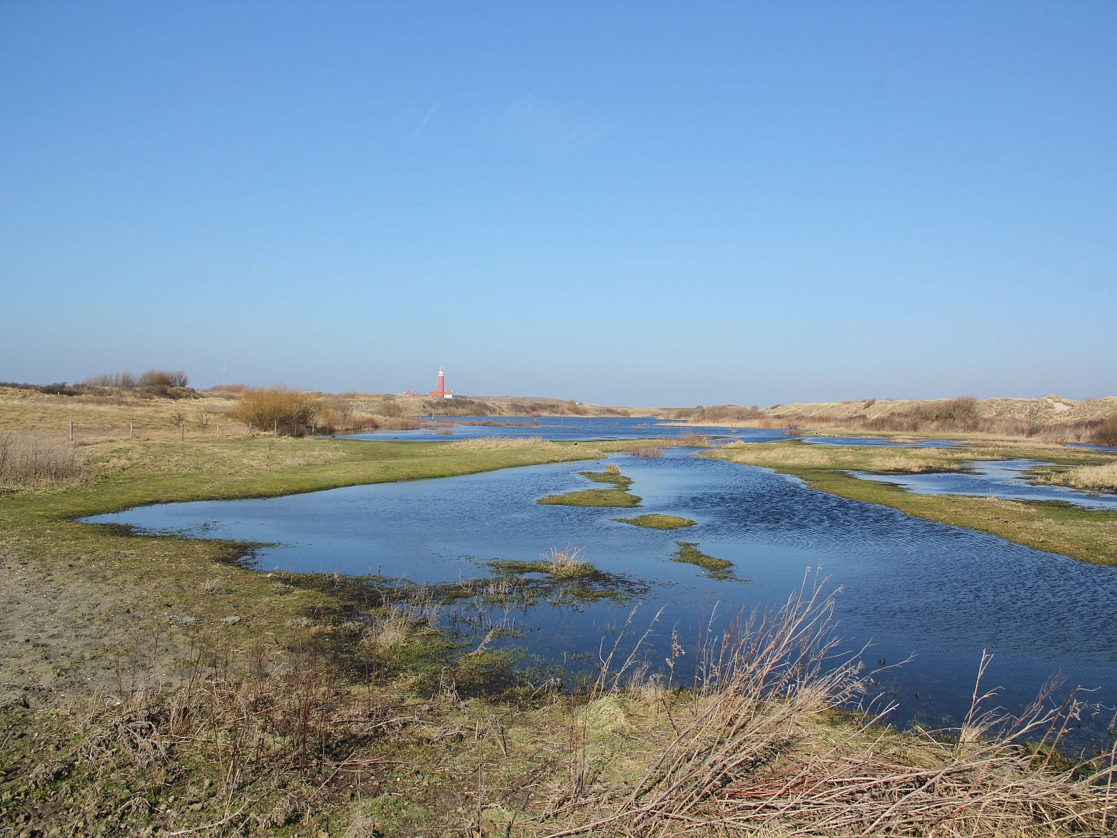 Guest house 0101750 - Apartment Texel - Stoeterij C65