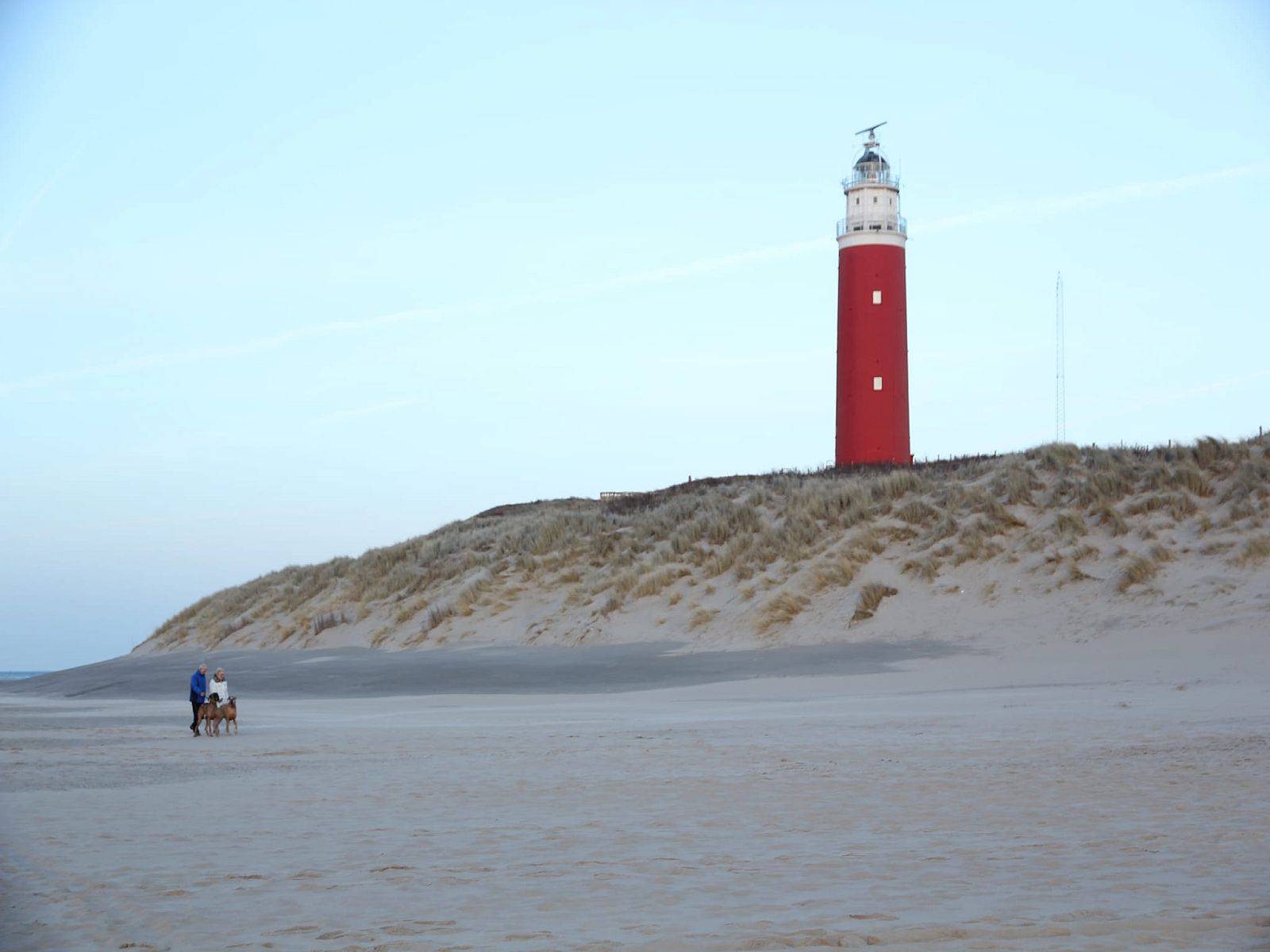 Guest house 0101750 - Apartment Texel - Stoeterij C65