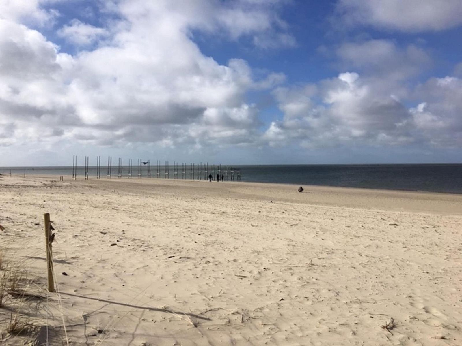 Guest house 0101750 - Apartment Texel - Stoeterij C65