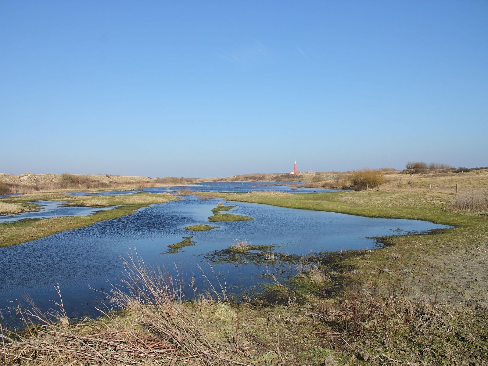 Guest house 0101750 - Apartment Texel - Stoeterij C65