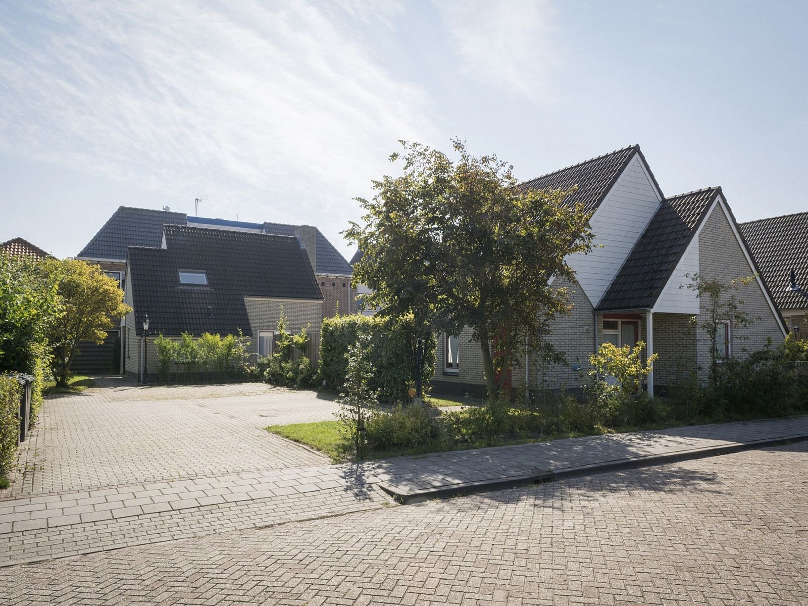 Guest house 0101753 - Bungalow Texel - Hodshonstraat B-12