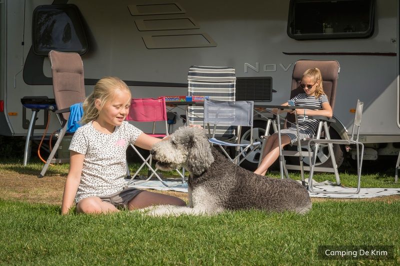 Guest house 0101819 - Holiday property Texel - Standaard plaats blauw