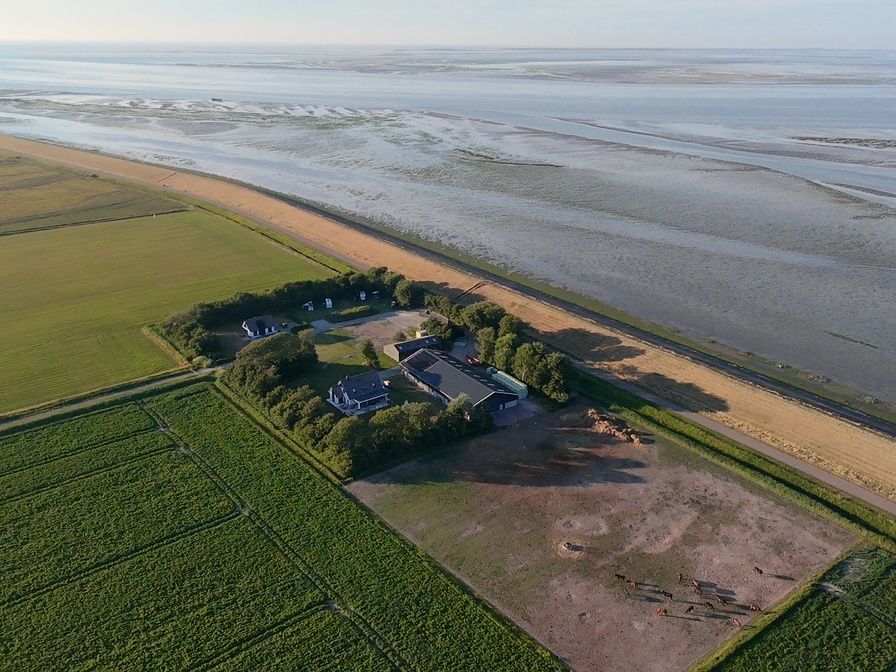 Unterkunft 0101838 - Ferienhaus Texel - Camperplek 3