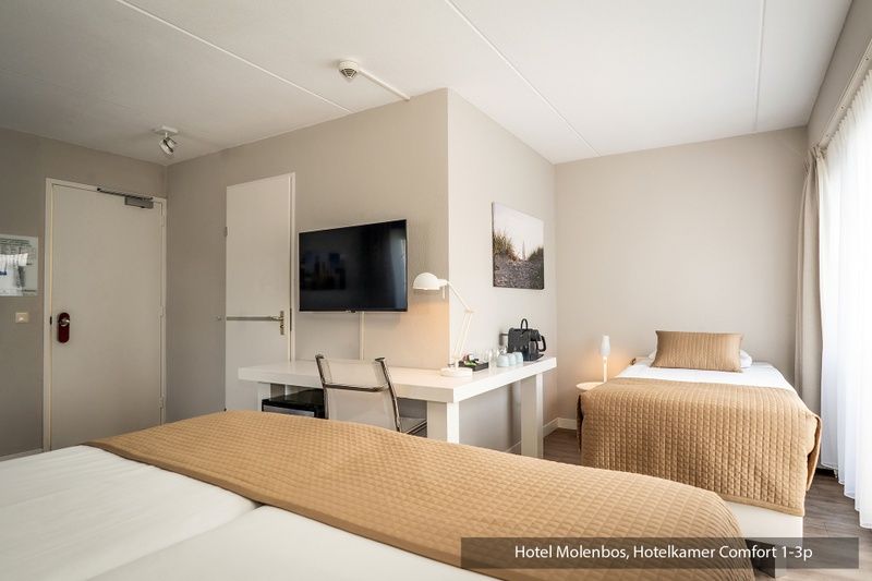 Guest house 0101846 - Holiday property Texel - Driepersoons kamer - Bad/douche/toilet