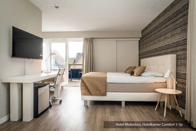 Guest house 0101846 - Holiday property Texel - Driepersoons kamer - Bad/douche/toilet