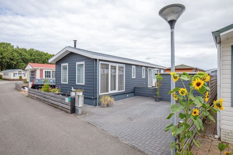 Aussenansicht von Chalet Bregkoog 52 in De Koog Texel mit sonniger Terrasse und Blumen.