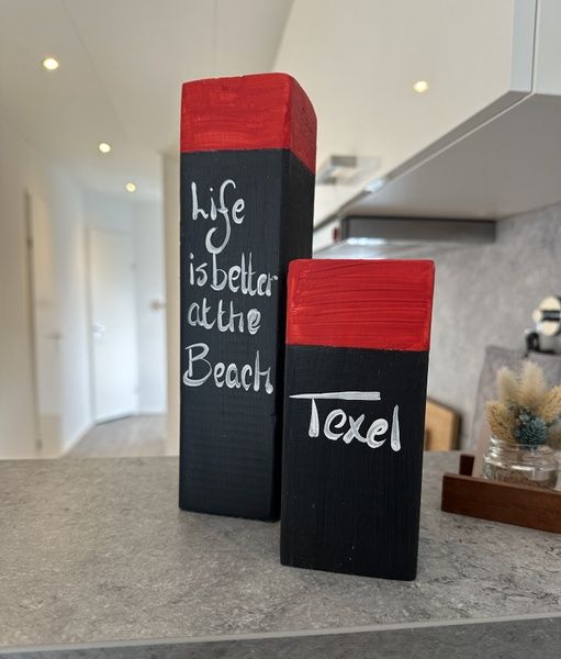 Guest house 0102117 - Holiday property Texel - Chaletpark Bregkoog - Chalet Bregkoog 232