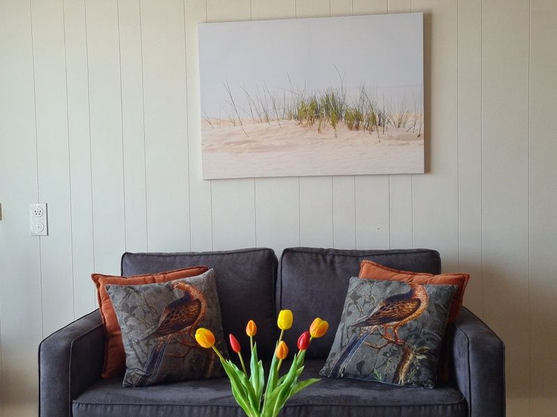 Stijlvolle decoratie en comfortabele bank in Motel Texel Appartement (Z), De Koog, Texel, voor een huiselijke sfeer.