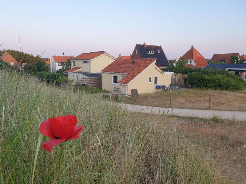 Picturesque surroundings of De Duinpan - Duinhuisje Texel in De Koog, surrounded by dunes and flowers.