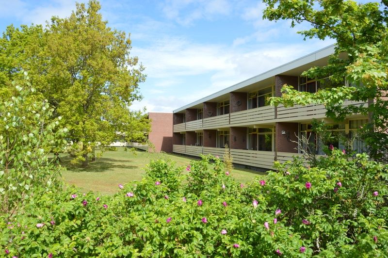 Exterior of Apartment Kerckeland 40, De Koog, Texel surrounded by greenery.